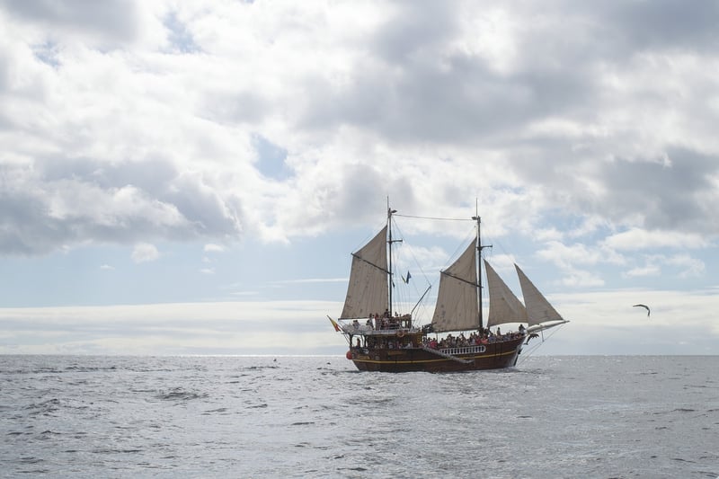 Pirate Captain